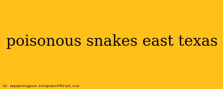 poisonous snakes east texas