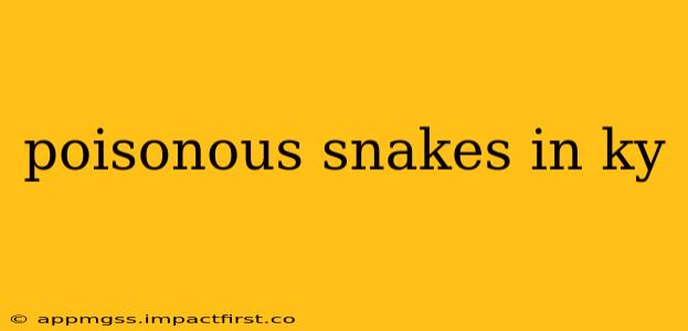 poisonous snakes in ky