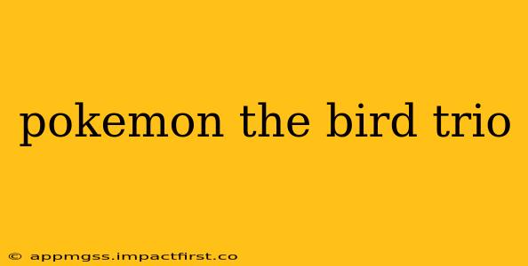 pokemon the bird trio