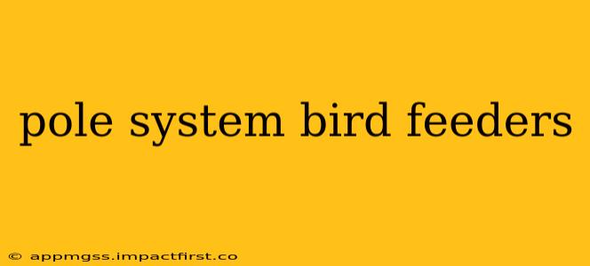 pole system bird feeders