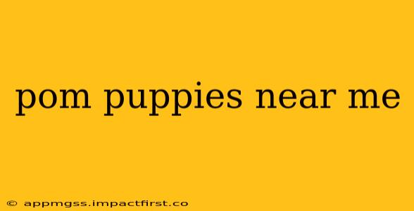 pom puppies near me