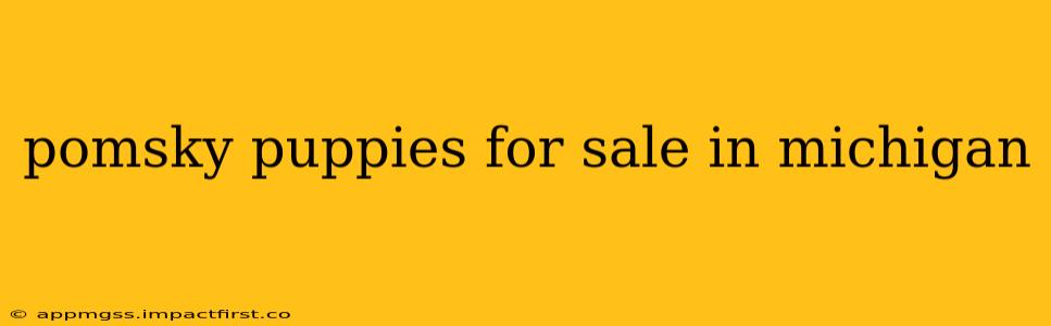 pomsky puppies for sale in michigan