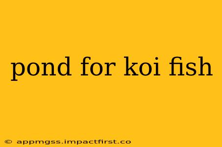 pond for koi fish