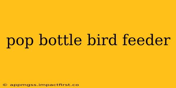 pop bottle bird feeder
