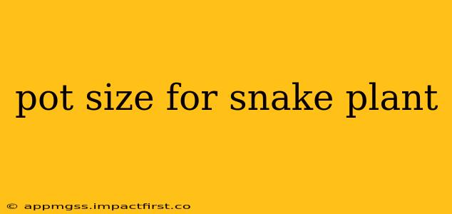 pot size for snake plant