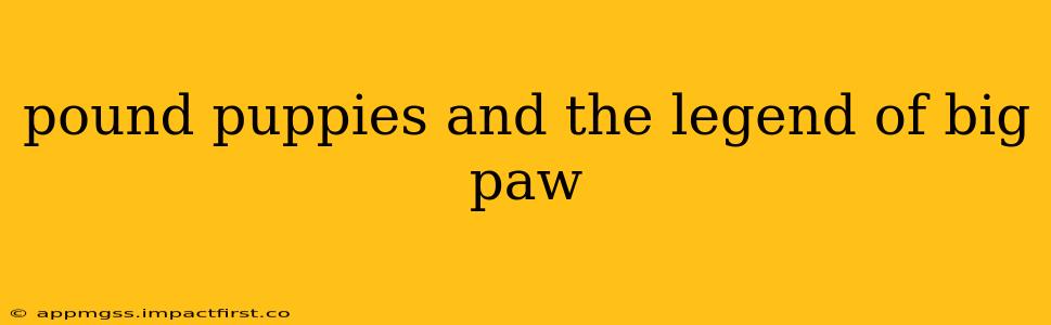 pound puppies and the legend of big paw