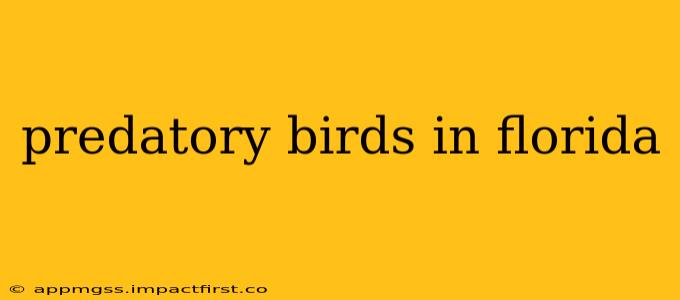 predatory birds in florida