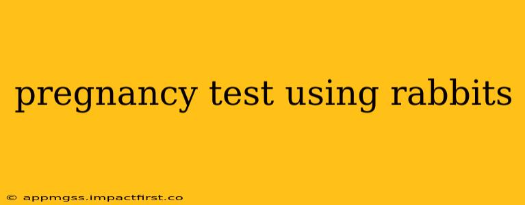 pregnancy test using rabbits