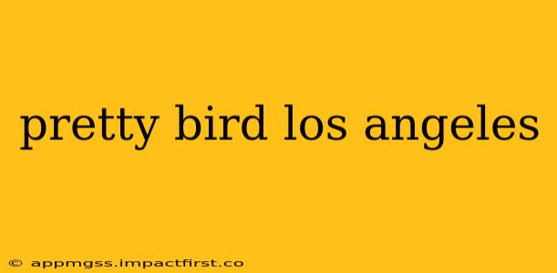 pretty bird los angeles