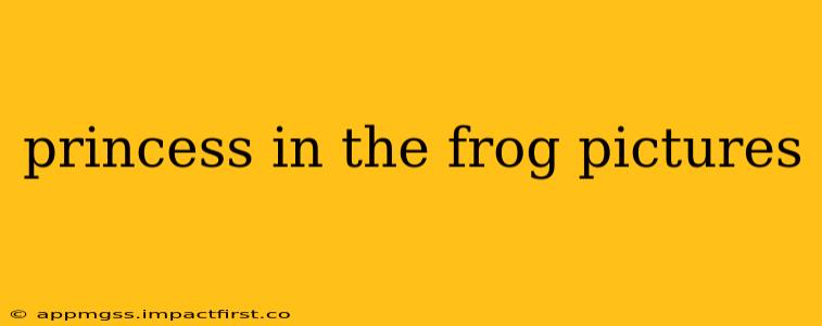 princess in the frog pictures
