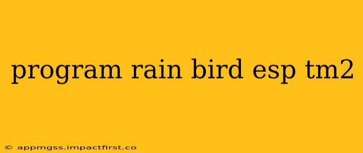 program rain bird esp tm2