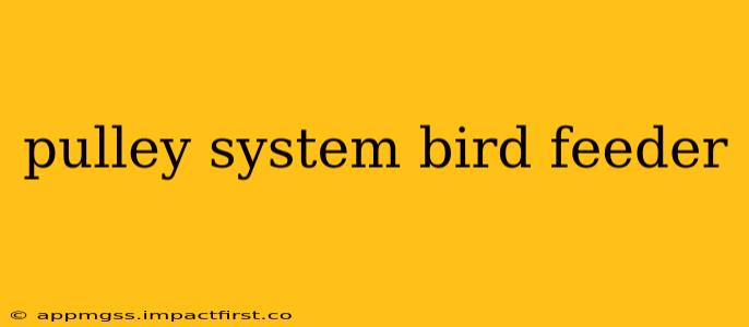 pulley system bird feeder