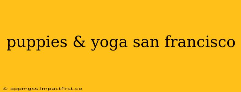 puppies & yoga san francisco