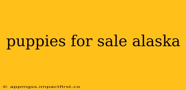 puppies for sale alaska