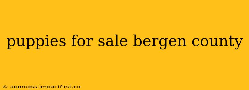 puppies for sale bergen county