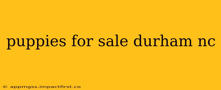 puppies for sale durham nc