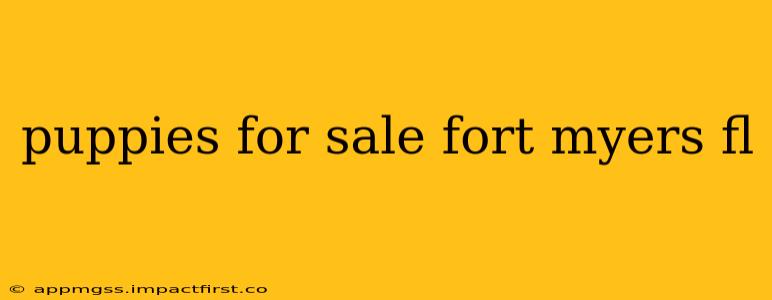 puppies for sale fort myers fl