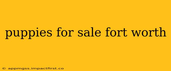 puppies for sale fort worth