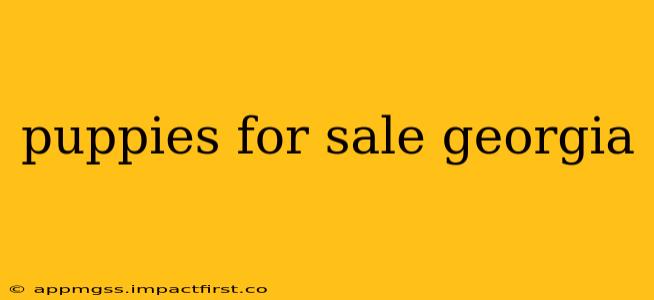 puppies for sale georgia