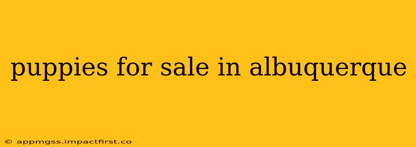 puppies for sale in albuquerque