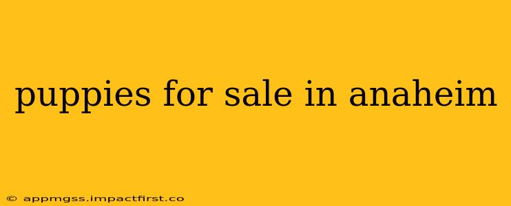 puppies for sale in anaheim