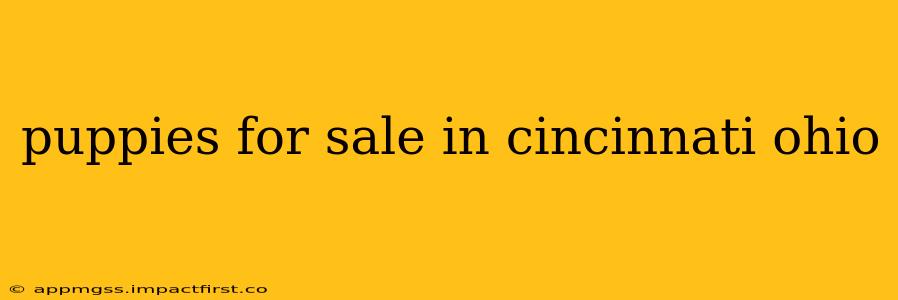 puppies for sale in cincinnati ohio