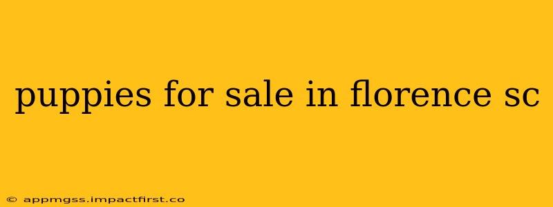 puppies for sale in florence sc