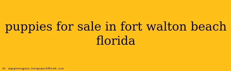 puppies for sale in fort walton beach florida