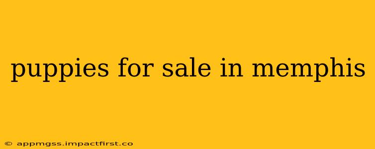 puppies for sale in memphis