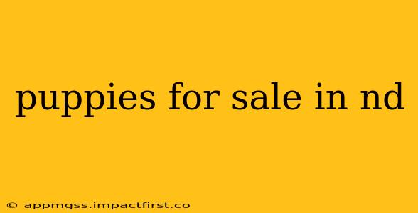 puppies for sale in nd
