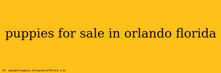 puppies for sale in orlando florida
