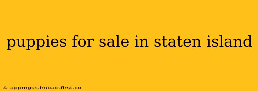 puppies for sale in staten island