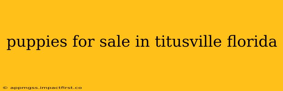 puppies for sale in titusville florida