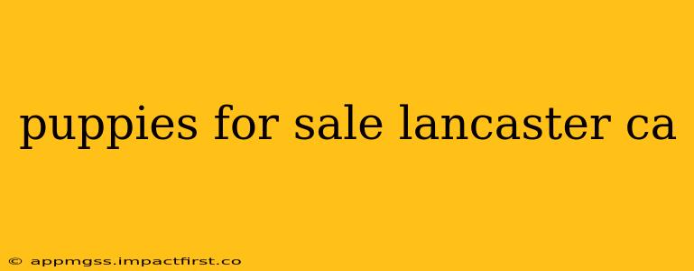 puppies for sale lancaster ca