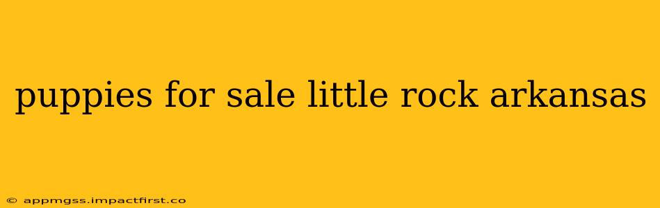 puppies for sale little rock arkansas