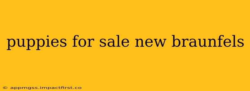 puppies for sale new braunfels