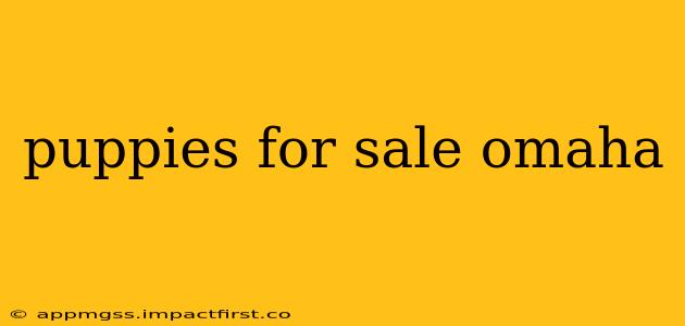 puppies for sale omaha