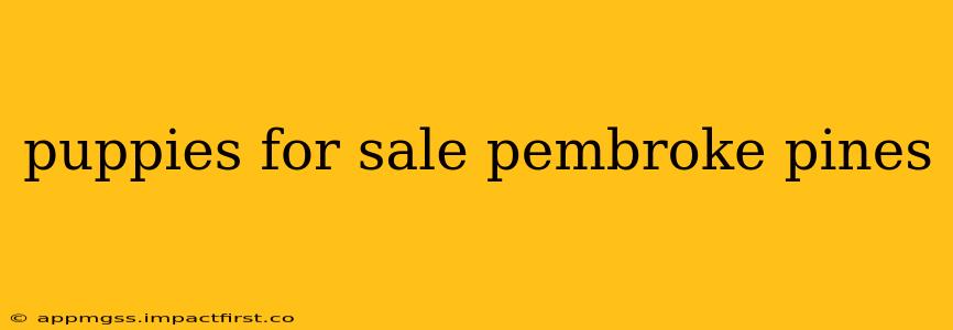 puppies for sale pembroke pines