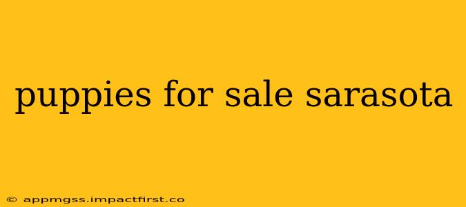 puppies for sale sarasota