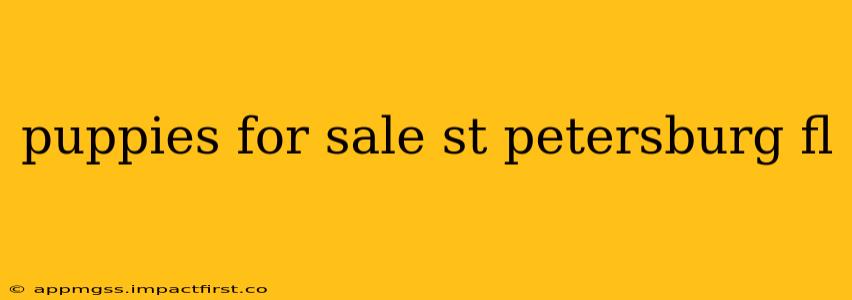 puppies for sale st petersburg fl