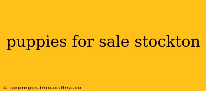 puppies for sale stockton