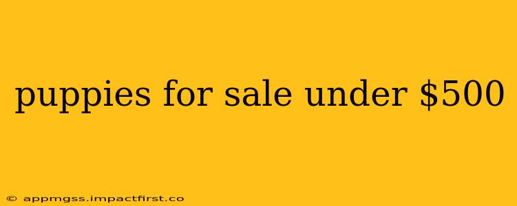 puppies for sale under $500
