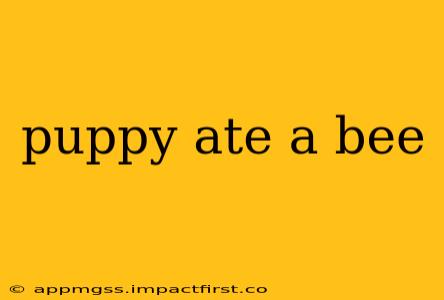 puppy ate a bee