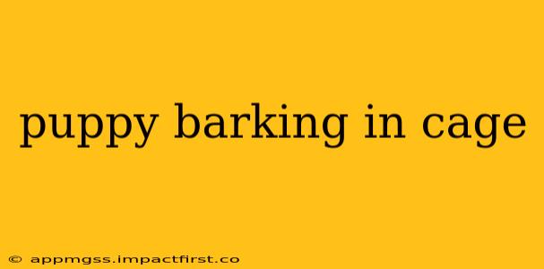 puppy barking in cage