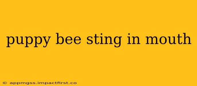 puppy bee sting in mouth