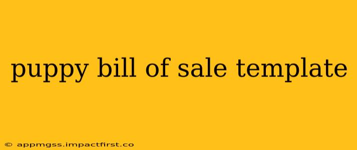 puppy bill of sale template