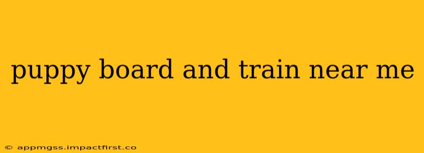 puppy board and train near me