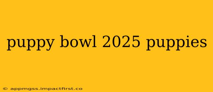 puppy bowl 2025 puppies