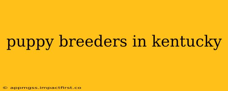 puppy breeders in kentucky
