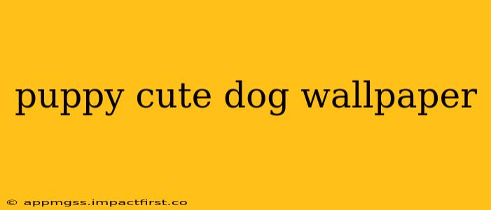 puppy cute dog wallpaper